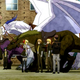 Illustration for article titled Dragonar Academy is Fanservice Schlock ...But it Has Dragons, You Guys